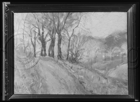 Glassplater og negativer film