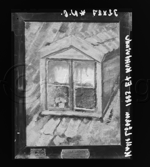 Glassplater og negativ film