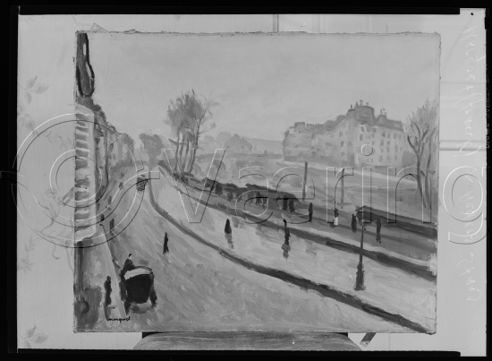 Glassplate og negativ film