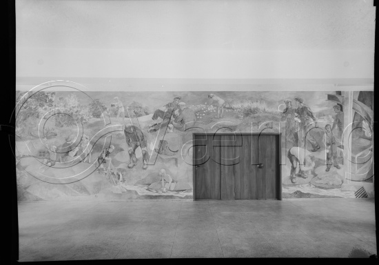 Glassplate og negativ film