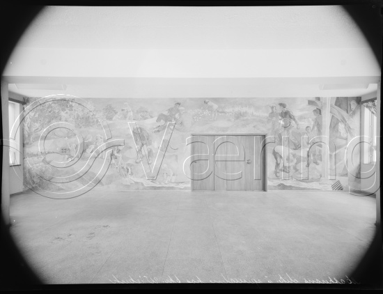 Glassplate og negativ film