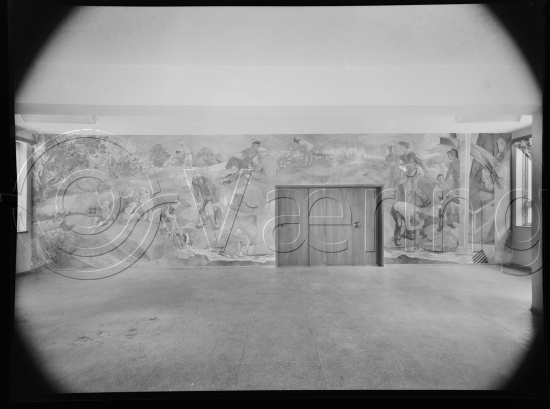 Glassplate og negativ film