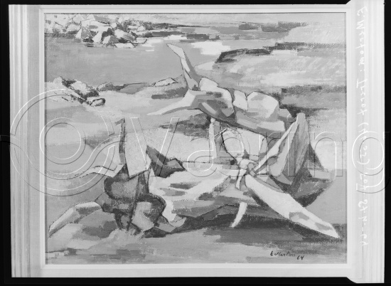 Glassplater og negativ film