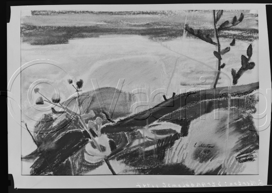 Glassplater og negativ film