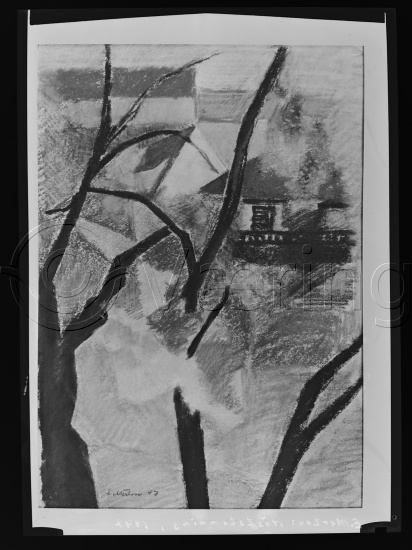 Glassplater og negativ film