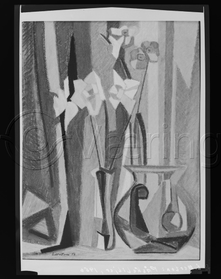 Glassplater og negativ film