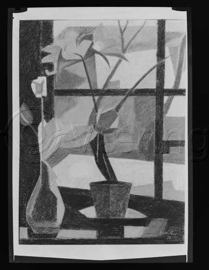 Glassplater og negativ film