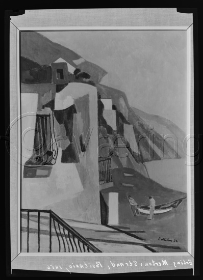 Glassplater og negativ film