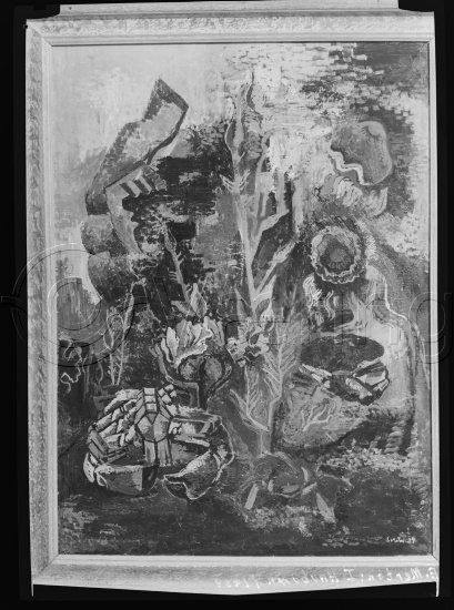 Glassplater og negativ film