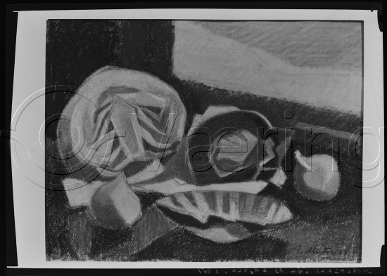 Glassplater og negativ film