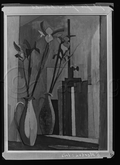 Glassplater og negativ film