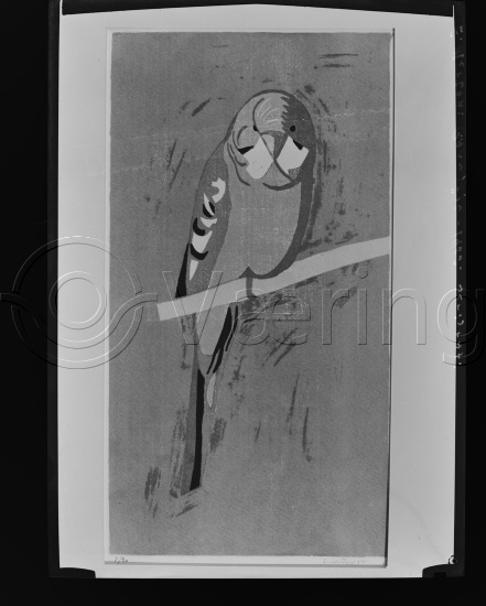 Glassplater og negativ film