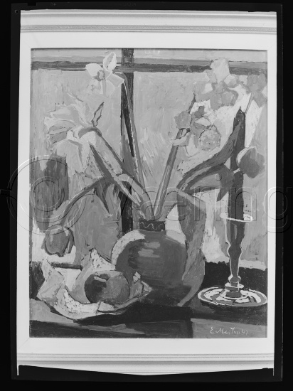 Glassplater og negativ film