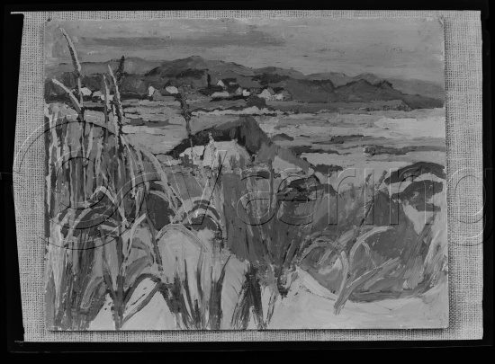 Glassplater og negativ film