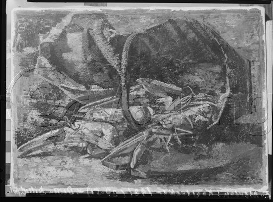 Glassplater og negativ film