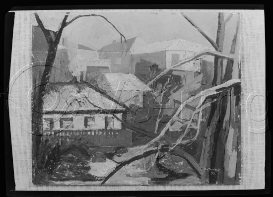 Glassplater og negativ film