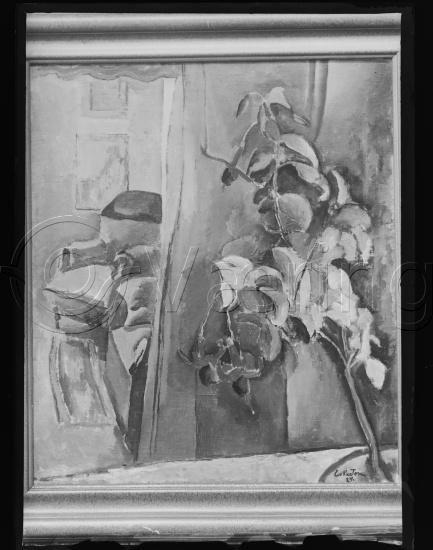 Glassplater og negativ film