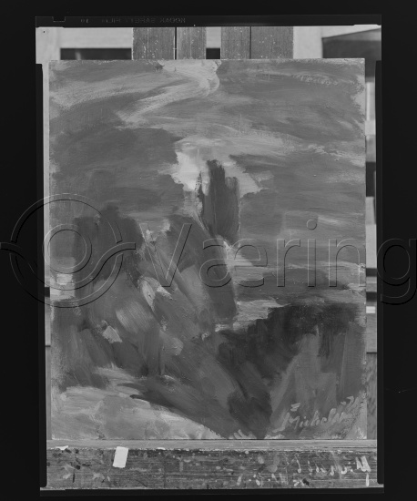 Glassplate og negativ film