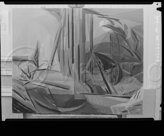 Glassplate og negativ film