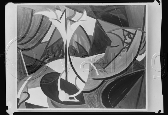 Glassplate og negativ film