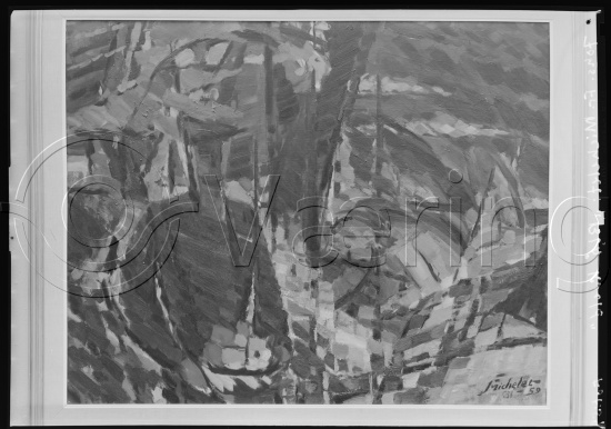 Glassplate og negativ film