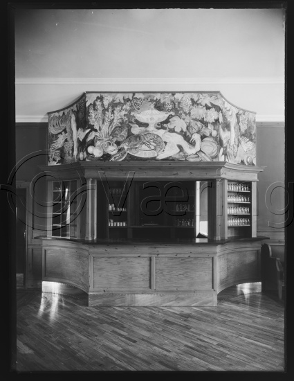 Glassplate og negativ film