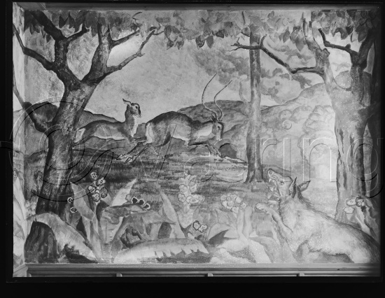 Glassplate og negativ film