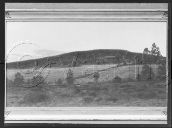 Glassplate og negativ film