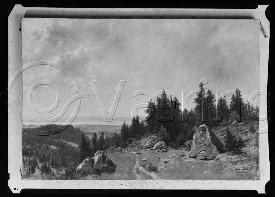 Glassplate og negativ film