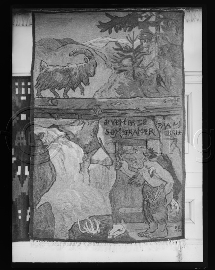 Glassplate og negativ film / Fotoeske Gerhard Muhte dekorative bilder