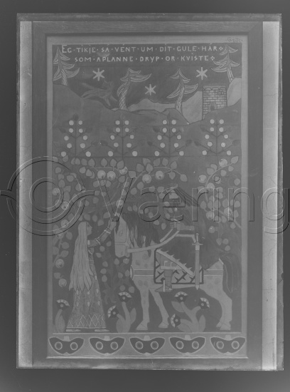 Glassplate og negativ film / Fotoeske Gerhard Muhte dekorative bilder