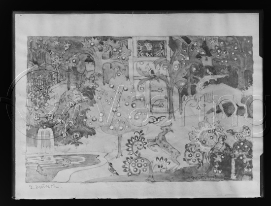 Glassplate og negativ film / Fotoeske Gerhard Muhte dekorative bilder