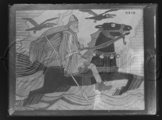 Glassplate og negativ film / Fotoeske Gerhard Muhte dekorative bilder