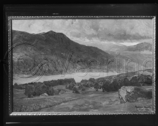 Glassplate og negativ film