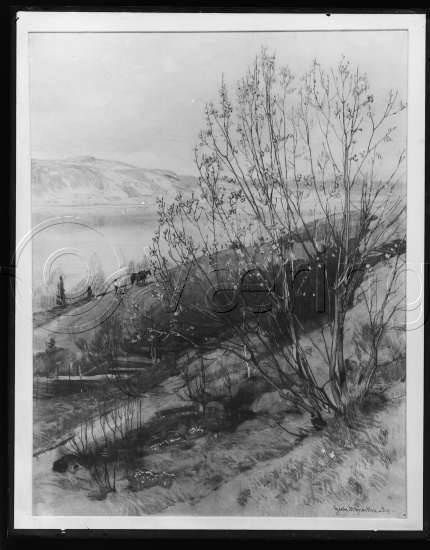 Glassplate og negativ film