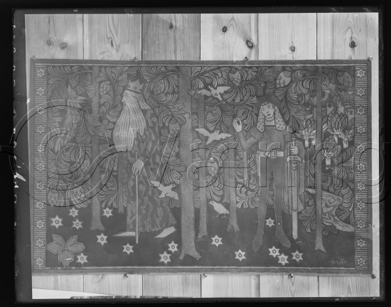 Glassplate og negativ film