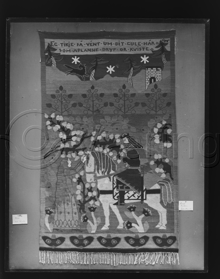 Glassplate og negativ film