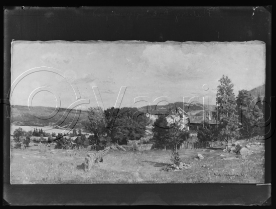 Glassplate og negativ film