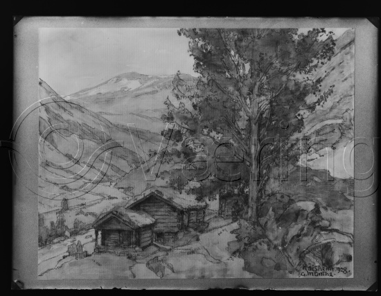 Glassplate og negativ film