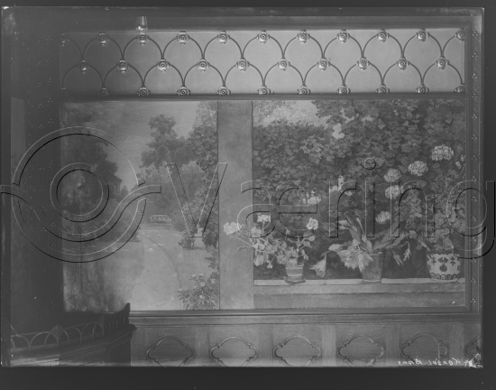 Glassplate og negativ film