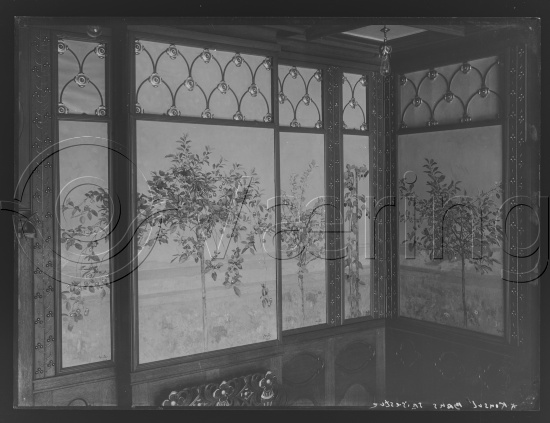 Glassplate og negativ film