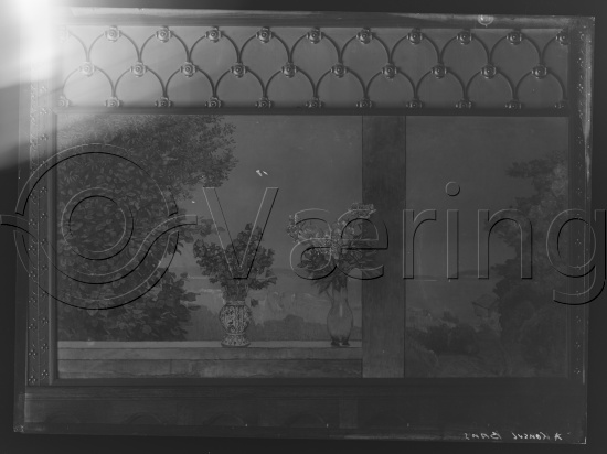 Glassplate og negativ film