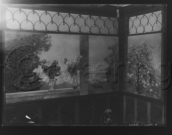 Glassplate og negativ film