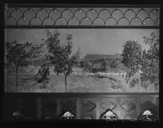 Glassplate og negativ film