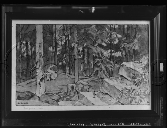 Glassplate og negativ film