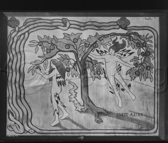 Glassplate og negativ film