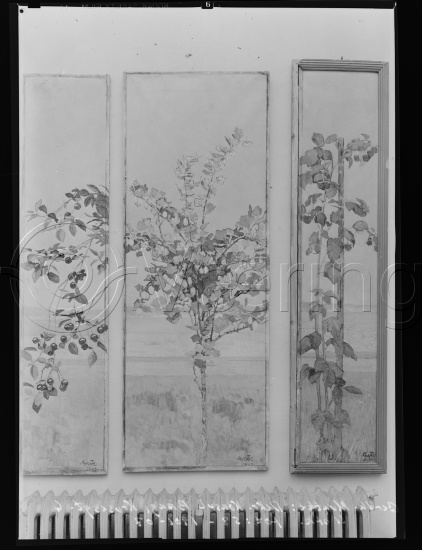 Glassplate og negativ film