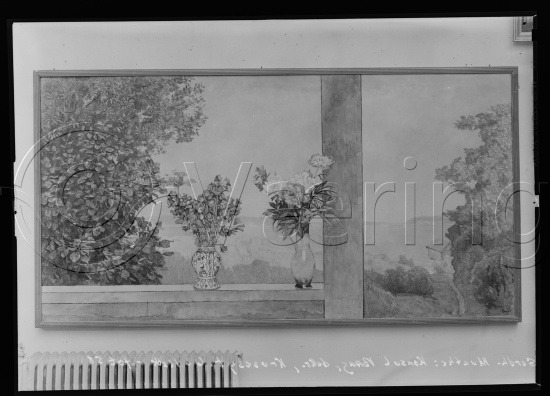 Glassplate og negativ film