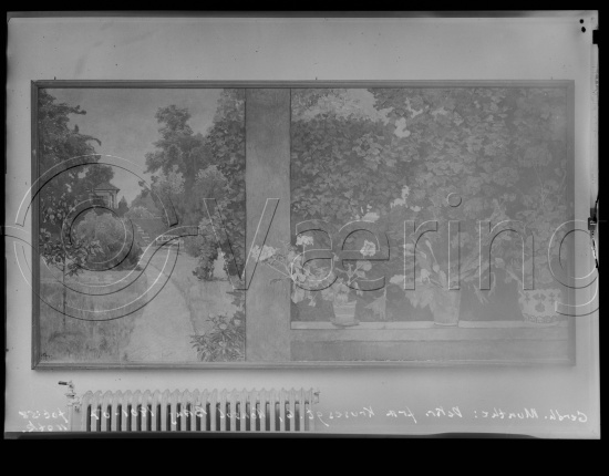 Glassplate og negativ film