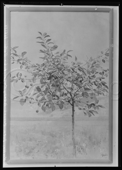 Glassplate og negativ film